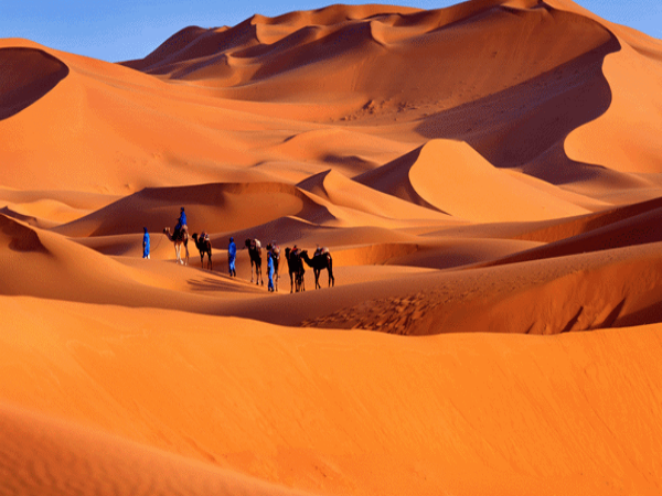 morocc sahara 600
